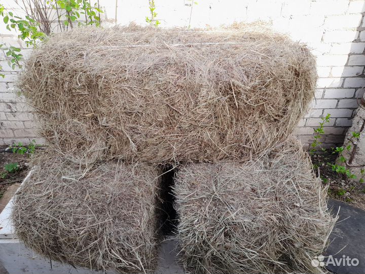 Сено в тюках