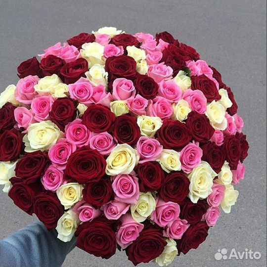 Букет 101 роза 60см