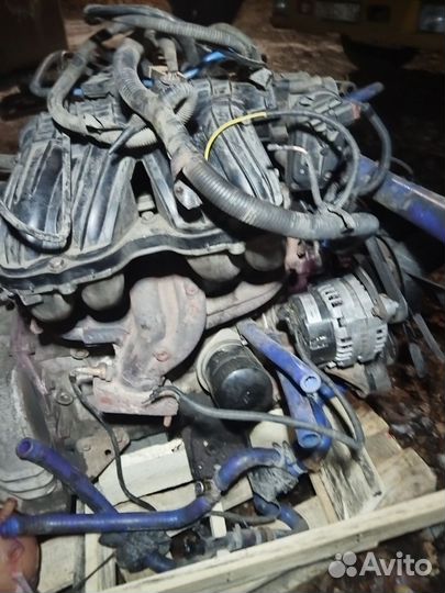 Двигатель эвотек