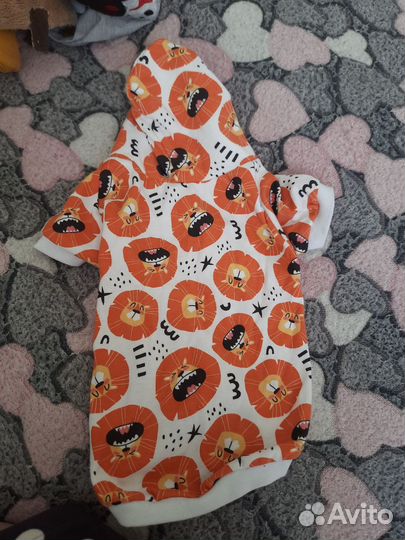 Одежда для маленьких собак