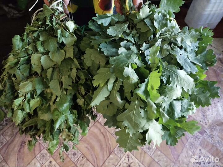 Веники дубовые