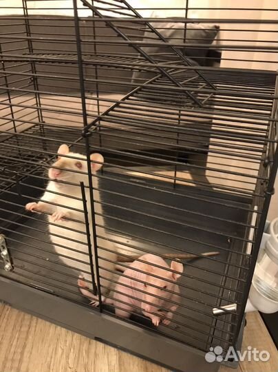 Клетка для грызунов