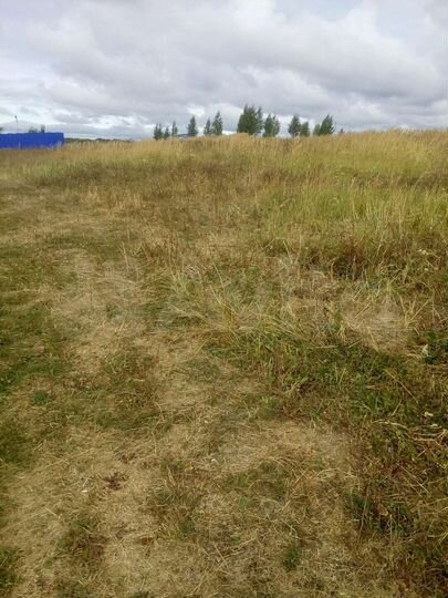 Участок 20 сот. (ИЖС)