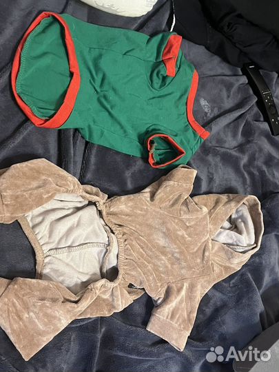 Одежда для маленьких собак