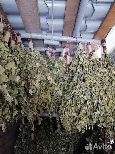 Березовые Веники для бани