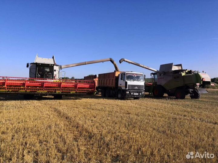 Уборка урожая комбайнами Claas Tucano 430