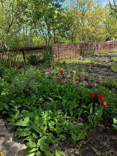 Дача 24 м² на участке 4 сот.