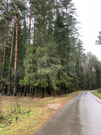 Участок 15,9 сот. (СНТ, ДНП)