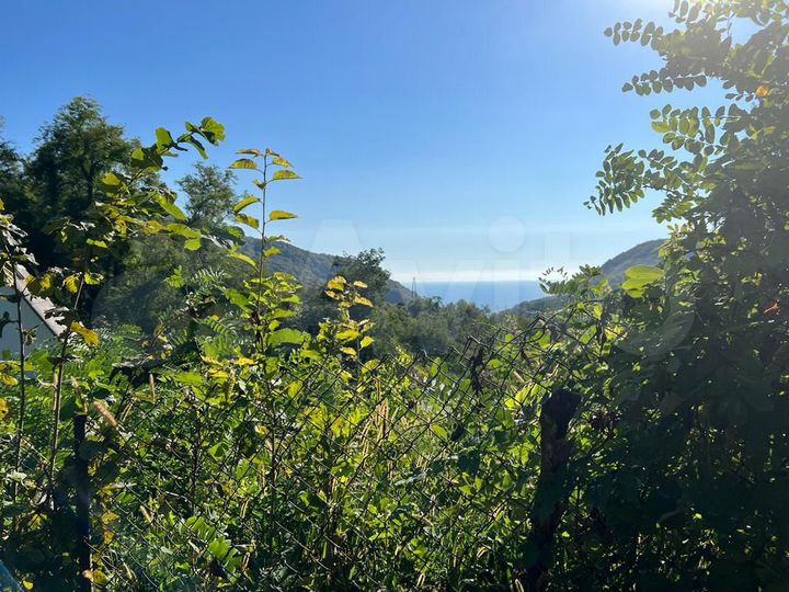 Участок 5 сот. (СНТ, ДНП)