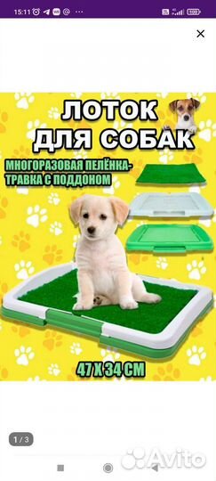 Лоток для собак