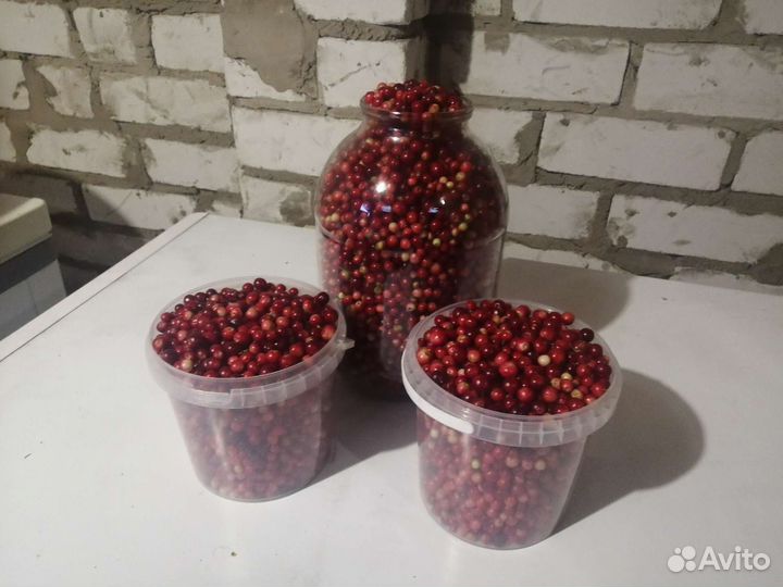 Свежая брусника, клюква