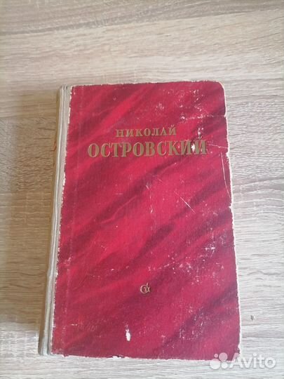 Островский. Как закалялась сталь, Рожденные бурей