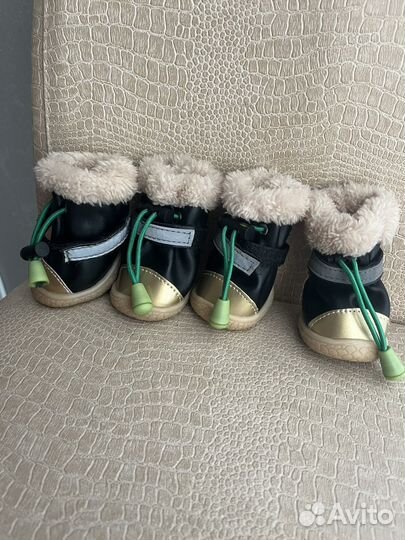 Обувь для маленьких собак