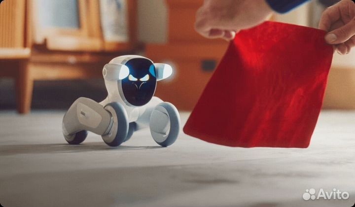 Loona домашний питомец с искуственным интелектом в