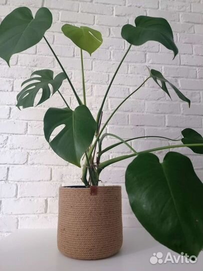 Кашпо из джута