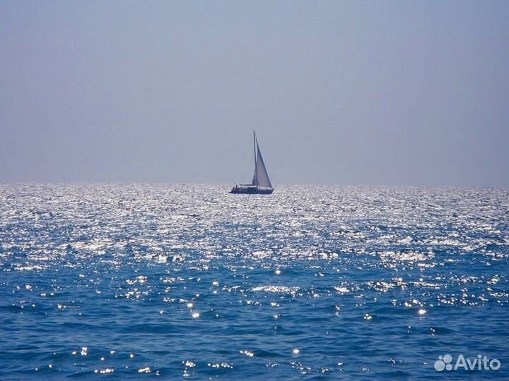 Капитан яхты