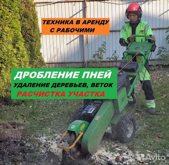 Расчистка участка Удаление пней, веток