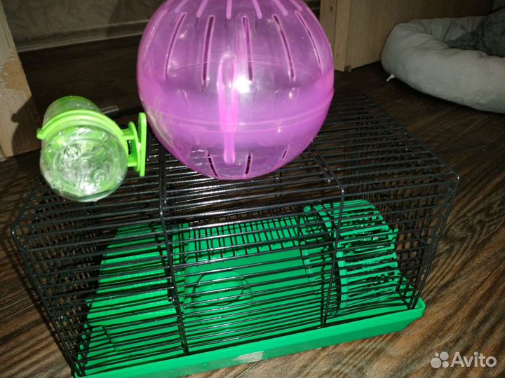 Клетка для джунгарского хомяка