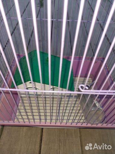 Клетка для грызунов