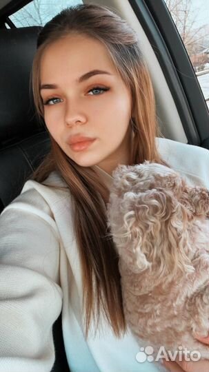 Администратор