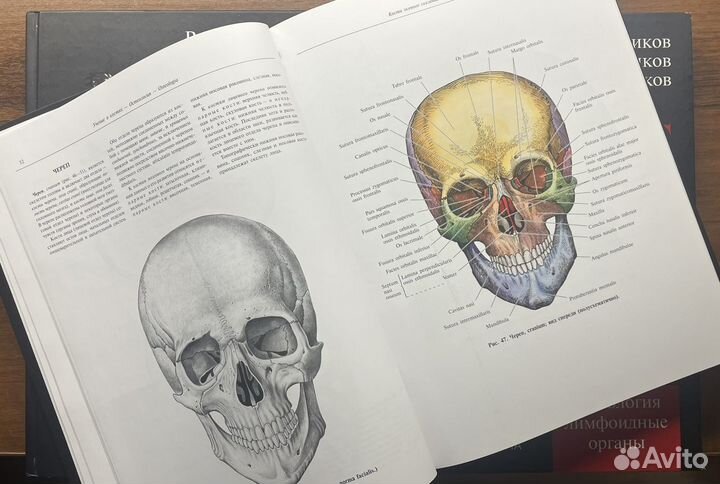 Атлас анатомии человека, Синельников в 2-х томах