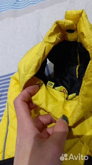 Жилетка для собак