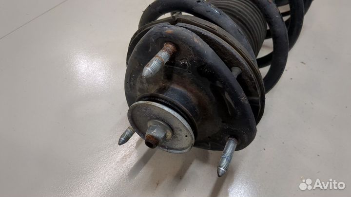 Амортизатор подвески Acura MDX, 2009