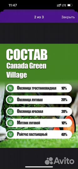 Семена газонной травы