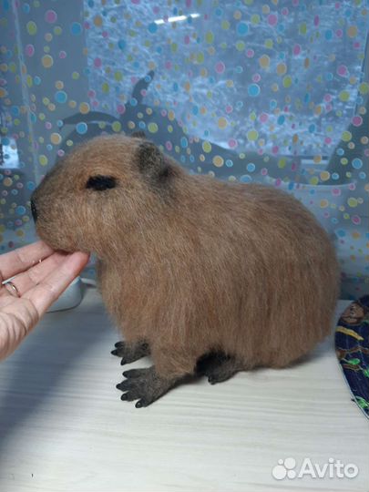 Капибара (водосвинка) - валяная из шерсти.На заказ