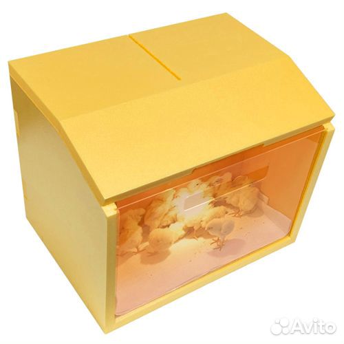 Брудер для цыплят 