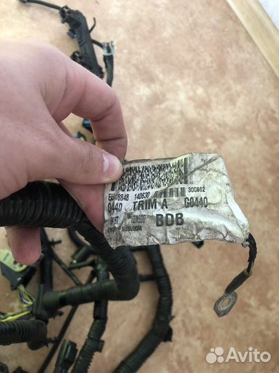 Проводка двигателя ford focus 3