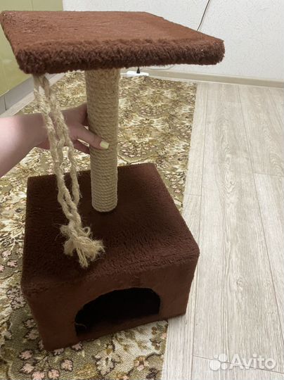 Когтеточка