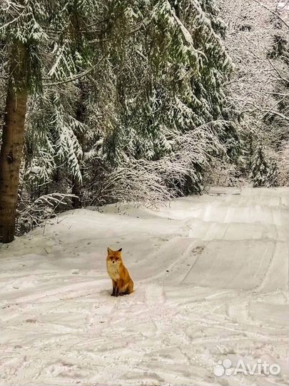 Банки стеклянные 3 литра