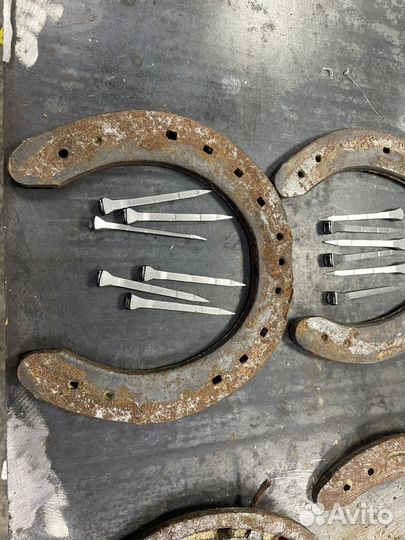 Подкова лошадиная. С гвоздями