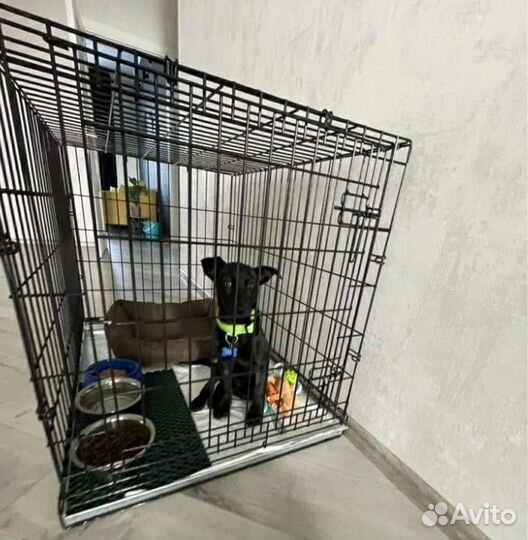 Клетка для животных