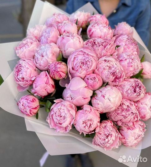 Пионы Цветы Доставка