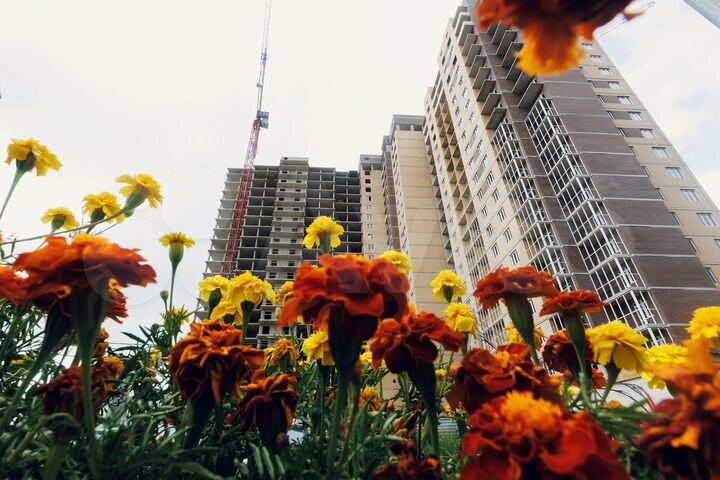 Квартира-студия, 22,7 м², 9/22 эт.