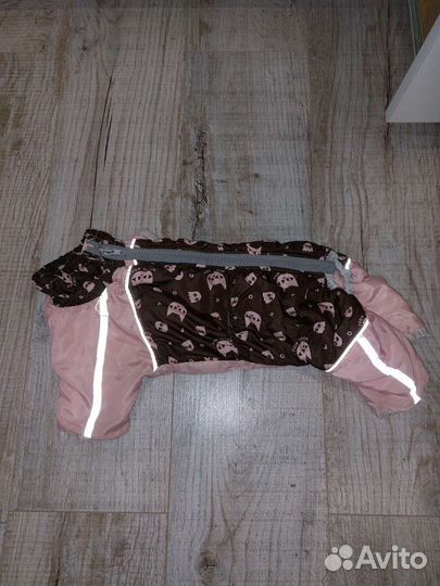 Одежда для собак