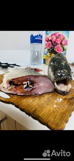 Жерех вяленый