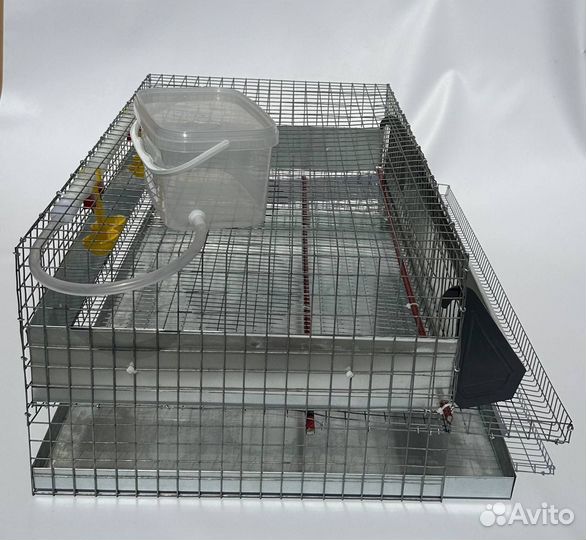 Клетка для 20 перепелов