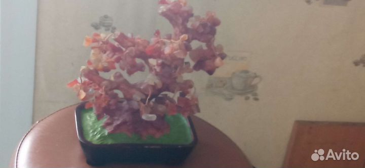 Денежное дерево