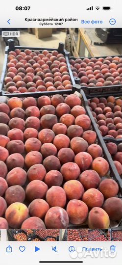 Персики оптом