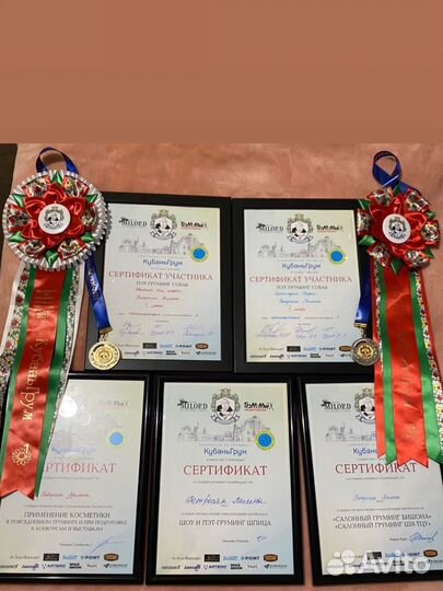 Груминг натухаевская