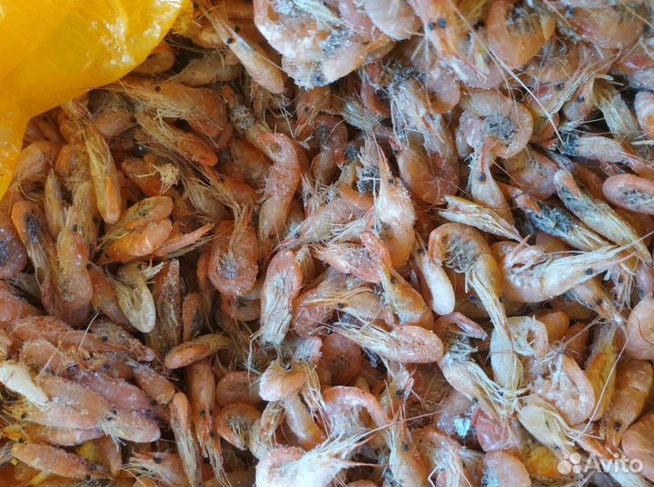 Креветки в Москве и мо