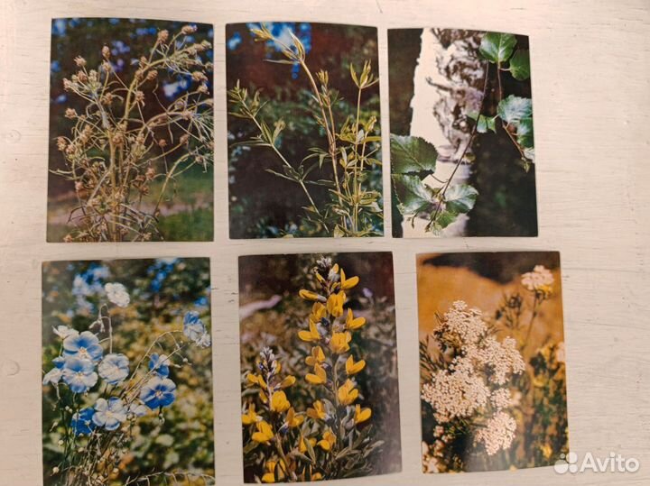 Набор открыток