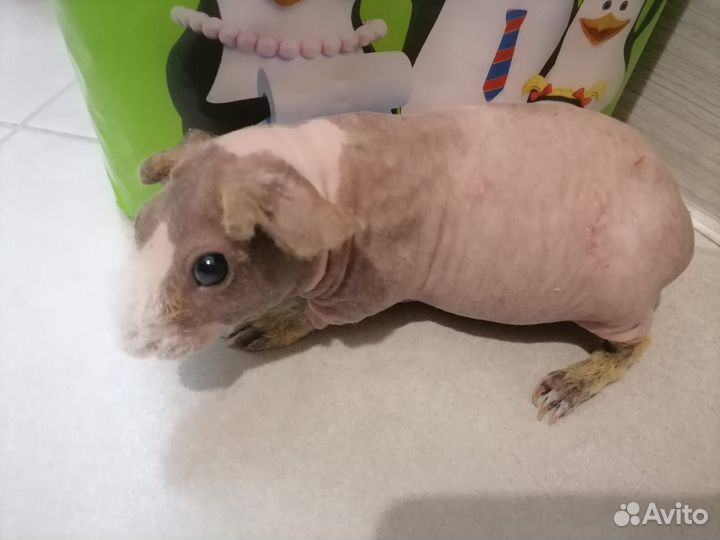 Мальчик Скинни