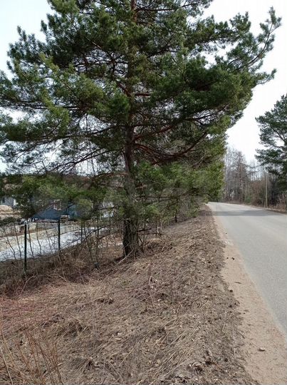 Участок 10,1 сот. (СНТ, ДНП)