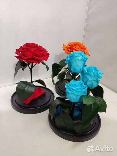 Роза в колбе оптом