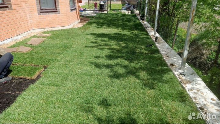 Рулонный газон с доставкой. Любой объем