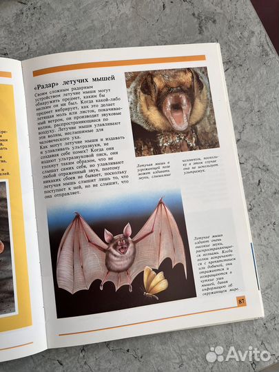 Книга Секреты животного мира